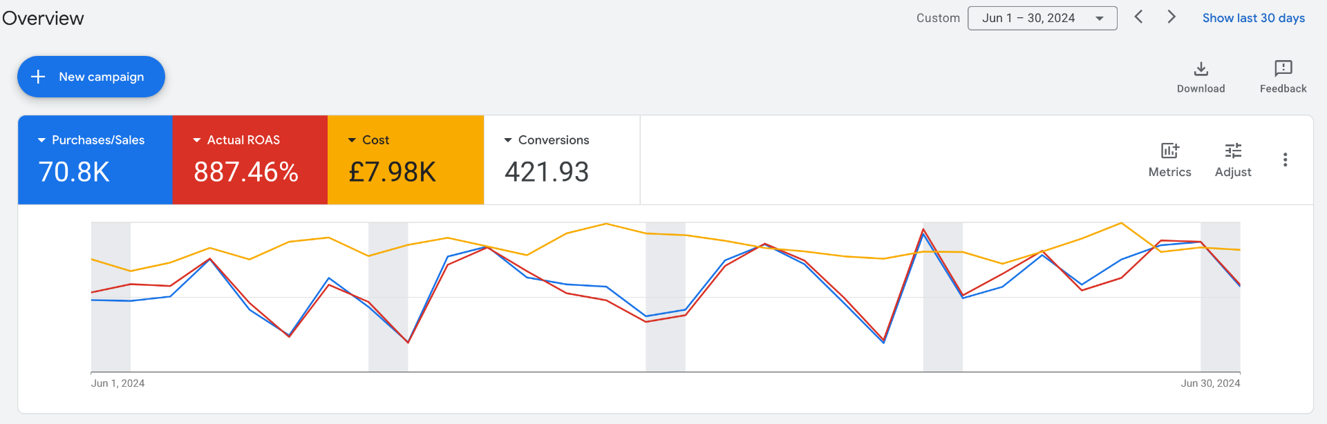 FlySports — Google Ads: Google Ads overview, June 2024